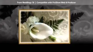 ProShow StylePack Weddings Part 2