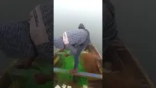 Net fishing 🐠🐠🐠🐠#gm Dam fish 🐠🚣🐠🐟🐟