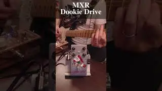 MXR Dookie Drive high gain sound w/ Stratocaster #mxr #greenday #fender #guitarpedals #guitar