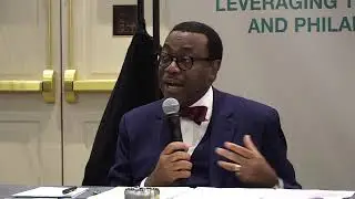 Leveraging the African Development Bank Group and Philanthropies' Strengths and Capital for Africa's