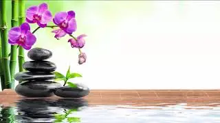 Music Without Words Cheerful Mood - Great Relaxing Stress Relief Music