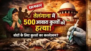 तेलंगाना में 500 आवारा कुत्तों की हत्या का आरोप | Stray Dogs Killing Case | Supreme Court Hearing