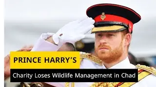 Prince Harry&rsquo;s Charity Loses Wildlife Management Mandate in Chad Amid Controversy