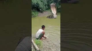 Snake video 🐍.mp4