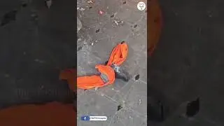 The Dastardly attacks on Hindu Temples continue under the Congress in Telangana