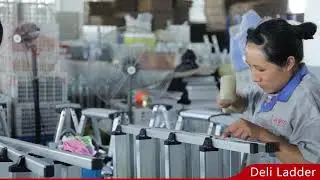 Deli Ladder - China ladder factory