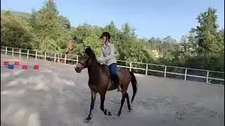 Trabstangen