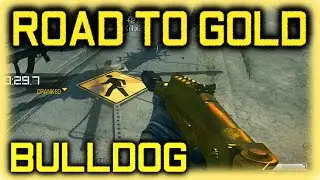 Ghosts: Road To Gold (Bulldog)