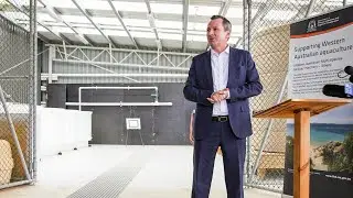 &lsquo;Political star&rsquo;: WA Premier Mark McGowan was a 'sensational' politician
