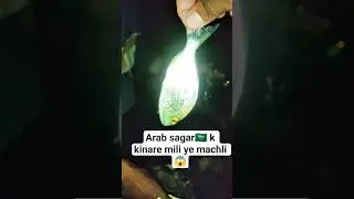 ARAB SAGAR ME MILI YE MACHLI 😱#minivlog #saudiarabia #fishing #like #mystery #viral #shortvideo #yt