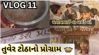 Vlog 11 | મનીષભાઈના બર્થડે માં તુવેર ટોઠાનો પ્રોગ્રામ 🍲 | A Day Out with Friends ☺️