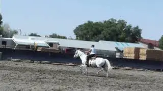 P1030240
