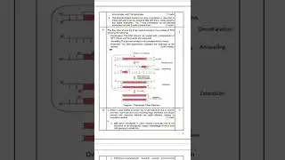 Biology || Term 2 Sample Question paper || CBSE CLASS 12 || 2021 - 2022