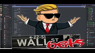 WALLSTREETBETS DISCORD IN A NUTSHELL...