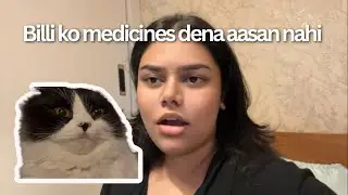 Billi aur bacche ek hi toh hai | NB27