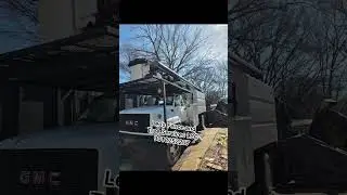 Tree Services Free Estimate 9018252207