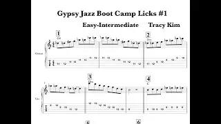 Beginning Gypsy Jazz Guitar Licks, Tricks, & Techniques-Practicing & Applying-Live Class + FREE PDFs