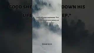A Sheep in His Care