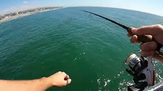 Imperial Beach Pier Fishing