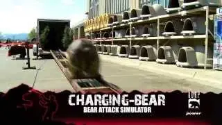 Charging Bear- Bear Attack Simulator from UDAP Bear Spray
