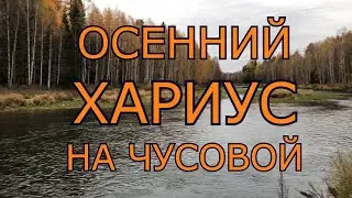 Осенний хариус на Чусовой