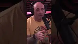 Joe Rogan x Alex Jones - Are The Frogs Gay?