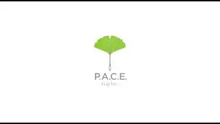 Artistic Garment Industries (AGI Denim) - P.A.C.E