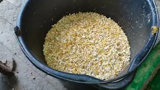 ЁЛКИ-ПАЛКИ ИГРУШКИ ДЛЯ КУР 😊КОРМЛЮ ДЁШЕВО ,И СОБИРАЮ ЯЙЦО🥚