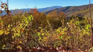 CHILL: Toe River Valley in Fall 1 (music only) #trees #mountains #relaxation #fall #autumn #chill