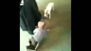 Baby chasing dog