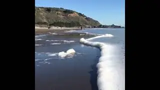Foam waves #shortvideo #godscreations #nature #wavesounds #shortvideo #foam #shorts #sea