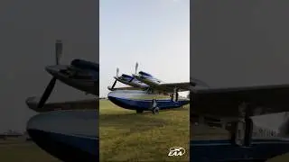 Talk to Me, Turbine Goose!