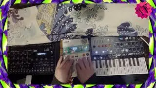 Friday Fun - DAWless Jam w/ EP-40 Riddim, Microfreak & Drumlogue