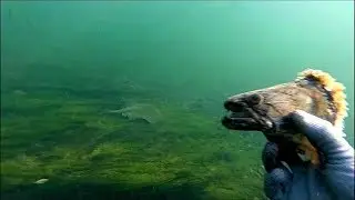 PESCA SUB 2015 - RIO PARAN&Aacute; 5 - EQUIPE TRI&Acirc;NGULO DAS &Aacute;GUAS