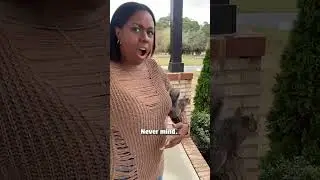 Hilarious Squirrel Jumps on Cameraman