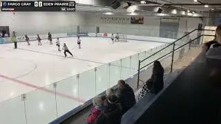 Buffalo Wild Wings Woodchipper Classic - Pool F Game 2 - Eden Prairie at Fargo Freeze Gray EP Goal 2