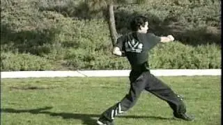 Choy Lay Fut Kung Fu Demo