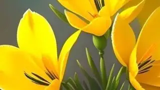 Dog lover dipali Mukherjee  is live