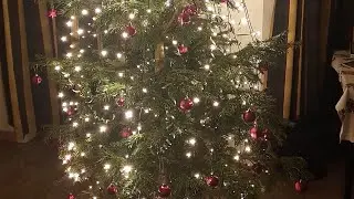 Почём ёлки в Норвегии. Hvor mye koster juletr&aelig;r i Norge.