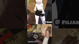 Cats broke into Filian and Bao's stream