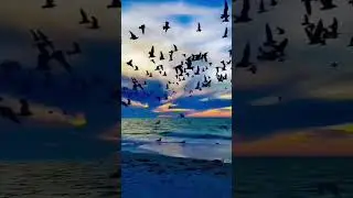 #viralvideo #nature #natureline #beutifulnature #sunset #mansarovar view #island #wildlife #amazing