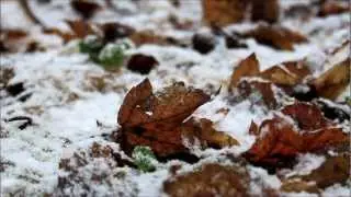 Any other name - Thomas Newman HD