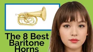 👉 The 8 Best Baritone Horns 2020  (Review Guide)
