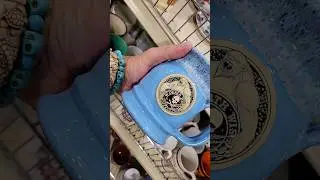 Florida Thrift Store Finds 