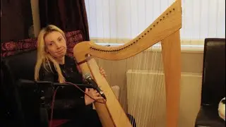 Running Up That Hill - Kate Bush (Harp and Vocal cover)