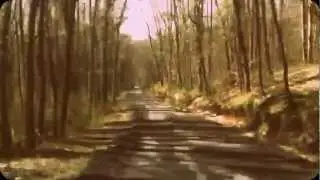 belgrad forest