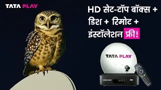 मोफत एचडी सेट टॉप बॉक्स, रिमोट आणि इन्स्टॉलेशन &ndash; फक्त Tata Play सोबत! आताच तुमची धमाका ऑफर मिळवा!