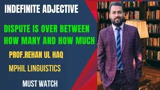 (Indefinite Adjective) Dispute is over between how many and how much Language & LinguisticsLearn 