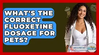 What's The Correct Fluoxetine Dosage For Pets? - Ask A Pet Vet