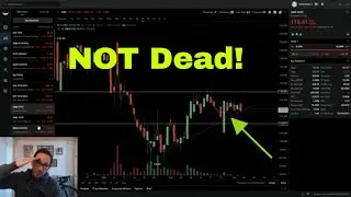 Weekly Wrap | AMC GME | Red But NOT Dead!